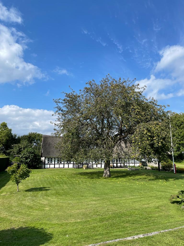 Sehr „hygge“ hier…